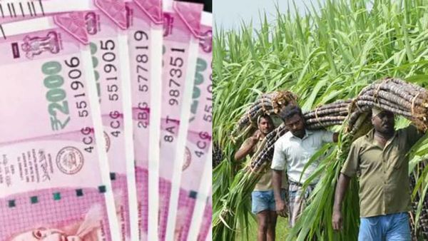 கரும்பு விவசாயிகளுக்கு ஸ்பெஷல் ஊக்கத்தொகை எப்போ? தீபாவளி வருதே.. ஸ்டாலினிடம் கேட்ட எடப்பாடி பழனிசாமி