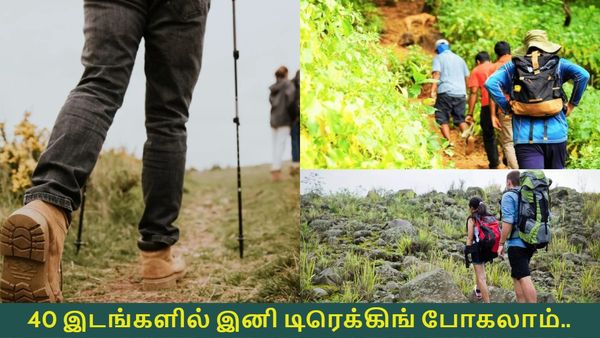 தமிழக அரசின் புதிய திட்டம்.. 40 இடங்களில் இனி டிரெக்கிங் போகலாம்.. எந்தெந்த இடங்கள்! இதோ லிஸ்ட்