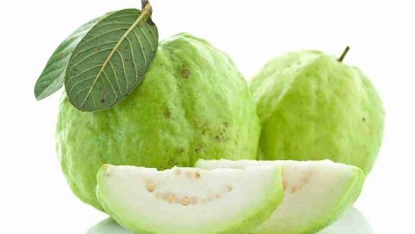 சர்க்கரை நோயாளி கொய்யாப்பழம் சாப்பிடலாமா? கொய்யா பழத்தில் கொட்டி கிடக்குது ஆரோக்கியம்.. பெஸ்ட் பழம்