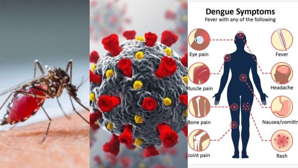 வேகம் எடுக்கும் 11 வகையான வைரஸ் காய்ச்சல்! இன்ஃபுளூயன்சா, டெங்கு அலர்ட் மக்களே