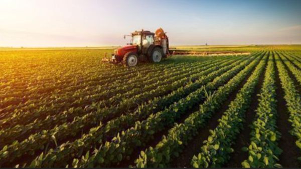 இனி எல்லாமே டிஜிட்டல் தான்.. விவசாய நில அடங்கல் விபரங்களை ஆன்லைனில் பார்க்கலாம்! வருவாய்துறை அசத்தல்