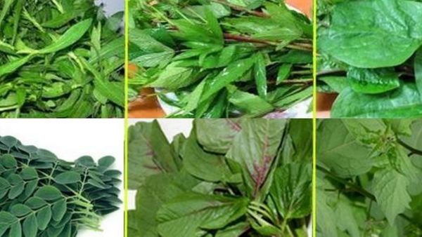 மோருடன் கீரையை சாப்பிடலாமா? கீரை தினமும் சாப்பிடலாமா? ஆரோக்கியம் தரும் கீரைகள்.. இனிமே இதை கவனியுங்க