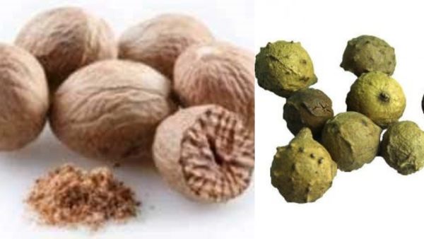 பாடாய் படுத்தும் வெள்ளைப்போக்கு.. மாசிக்காயின் மருத்துவம் இருக்கே.. உடம்பு புண்களை ஆற்றும் மகத்துவம்