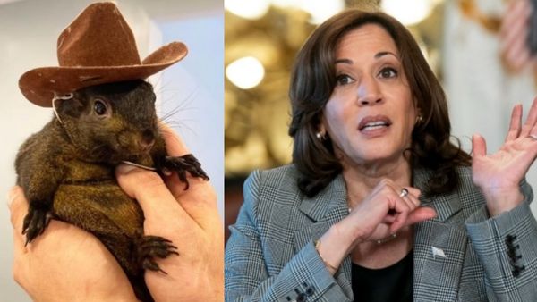 தமிழ்நாடு மட்டுமல்ல.. அமெரிக்க அரசியலையும் உலுக்கிய 