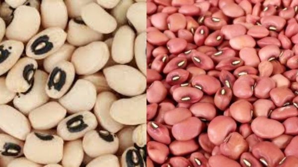 காராமணியின் ஆரோக்கியம்.. எலும்பு பாதிப்பு, மஞ்சள் காமாலைக்கு உதவும் பயிறுகளின் ராணி.. மருத்துவ நன்மை