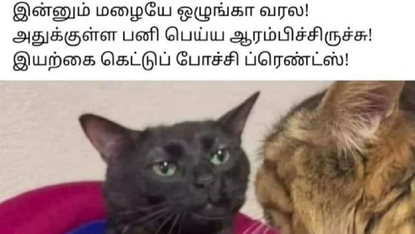 தொண்டைல கிச் கிச்.. மூக்குல அடைப்பு.. ம்ஹூக்கும் இருக்குற பிரச்சினைல நீ வேறயா!