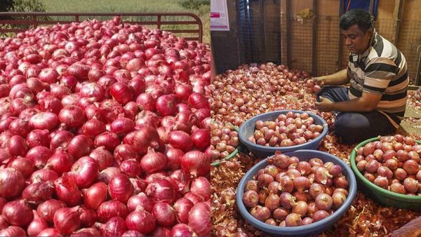 விலையை கேட்டாலே கண்ணீர் கொட்டுதே.. உச்சத்தில் வெங்காய விலை.. எப்போது தான் குறையும்! ஷாக் தகவல்