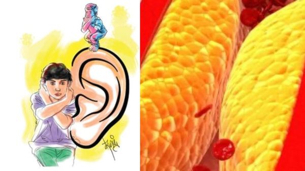 தினந்தோறும் தோப்புக்கரணம்.. காது கிட்ட 200 நரம்புகள்.. ஆன்மீகத்தின் மகத்துவம், அறிவியலின் ஆரோக்கியம்