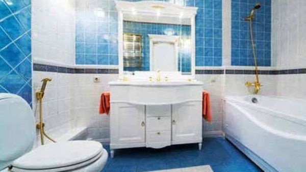 குளியலறையில் இதை வைக்காதீங்க.. வீட்டில் வறுமை வந்துடுமாம்.. கழிவறை டைல்ஸ் இந்த கலர் இருக்கா பாருங்க