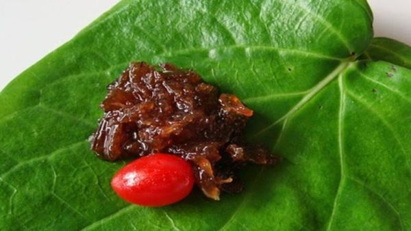 தினந்தோறும் குல்கந்து.. ஆரோக்கியம் தரும் வெற்றிலை.. மலட்டுத்தன்மையை நீக்கும் அருமருந்து.. ஆச்சரியம்