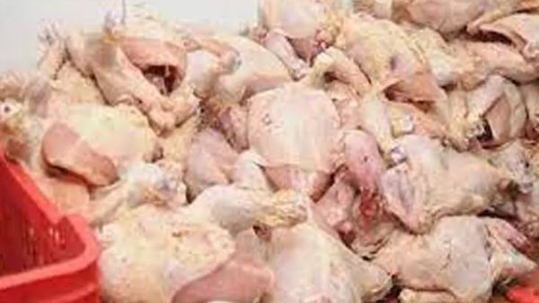 தாராபுரத்தில் நூல் நூலாக தொங்கிய இறைச்சி..பிரபல ஓட்டல் ஃபிரிட்ஜில் சிக்கனை கண்டு ஆடிப்போன திருப்பூர்