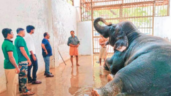 திருச்செந்தூரில் க்யூட்.. 