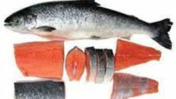 மீனை வாங்கினால் சால்மன் பெஸ்ட்.. எலும்பு வலு பெற, மூட்டுவலி குறைய, ஆரோக்கியம் தரும் சால்மன் மீன்கள்