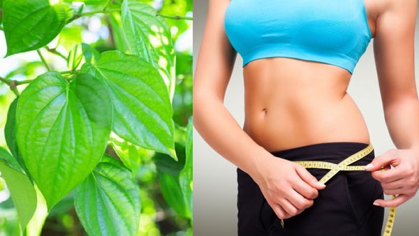 வெற்றிலையின் சீக்ரெட்.. இடுப்பில் சதை சல்லுனு கரைக்கணுமா? உடல் எடை குறையணுமா? நல்ல பலனை தரும் இஞ்சி