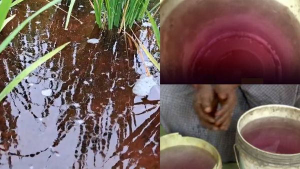 ரத்த கலரில் மாறிய குடிநீர்! அரண்டுபோன நாமக்கல் மக்கள்.. பள்ளிபாளையத்தில் வெடித்த பஞ்சாயத்து