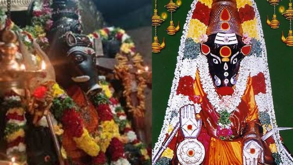 வாராஹி அம்மனின் புகைப்படத்தை வீட்டில் வைத்து பூஜிக்கலாமா? எந்தெந்த கிழமைகளில் வழிபடலாம்?