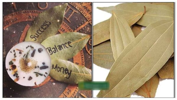 பிரிஞ்சி இலை பொக்கிஷம்.. பிரியாணி இலைகளை பொசுக்கி பாருங்க, அடுத்து நடக்கும் ஆச்சரியம்.. செம பரிகாரம்