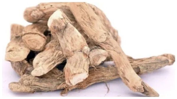 வசம்பு வாசம்.. பணத்தை வசியப்படுத்தும் அற்புதமான வசம்பு தீபம் பரிகாரம் தெரியுமா? வேப்ப எண்ணெய் போதுமே