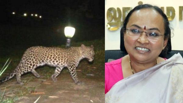 சிறுத்தை நடமாட்டம்.. இரவு நேரங்களில் பொதுமக்கள் தனியே செல்ல வேண்டாம்.. வேலூர் கலெக்டர் வேண்டுகோள்