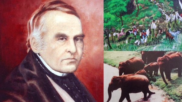 நீலகிரியில் ரிசார்ட்டுகள்.. துண்டிக்கப்பட்ட யானை வழித்தடங்கள்.. இதுக்கு ஒரு எண்டே இல்லயா? எது தீர்வு