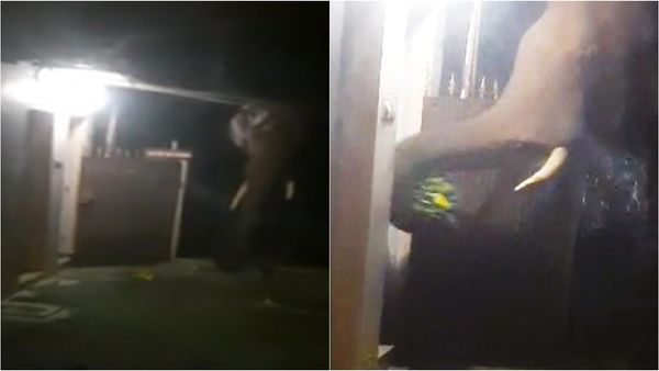 கோயம்புத்தூர் அருகே தலைவனுக்கு தில்ல பார்த்தீங்களா.. எங்க இருந்தாலும் தூக்கிடுவோம்.. பாருங்க