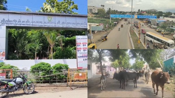 மாடுகளால் அபாயம்.. மக்கள் உயிர் முக்கியமில்லையா? ஆட்சியர் உத்தரவை மதிக்காத திண்டுக்கல் அதிகாரிகள்