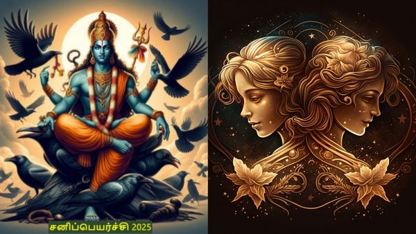 சனிப்பெயர்ச்சி 2025: ராஜயோகம் பெறும் மிதுன ராசிக்காரர்கள்.. இனி தொட்டதெல்லாம் ஹிட்டு தான்