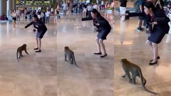 நாயோ நரியோ மாடோ மனுஷனோ! மரியாதை முக்கியம்! ஏர்போர்ட்டில் குரங்குகிட்ட இந்த பெண் என்ன சொல்கிறார்?