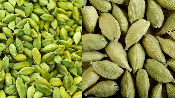 தினம் 2 ஏலக்காய் இருந்தால், உடல் எடை மளமளனு குறையுமே.. ஏலக்காயில் இவ்ளோ ஊட்டச்சத்துக்களா? இதய நண்பன்