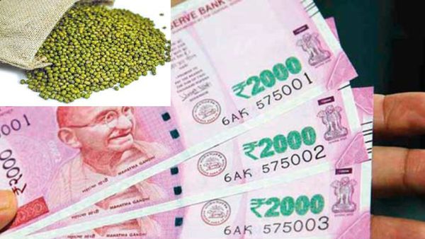 பச்சை பயிறு பரிகாரம் சபாஷ்.. பீரோவில் பணம் சேரணுமா? வருமானம், வேலை கிடைக்க உதவும் 3 பச்சை பொருள்