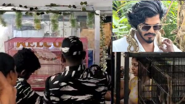 இந்த முறை பிரச்சனை டிடிஎஃப் வாசனுக்கு இல்ல.. செல்லப் பிராணிகள் கடைக்கு.. வனத்துறை அதிரடி ரெய்டு!