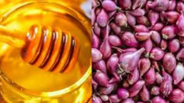 சின்ன வெங்காயத்தை தேனில் ஊற வைத்து சாப்பிட்டால், இத்தனை பலனா? டெய்லி 2 துண்டு போதுமே.. ஹெல்த் டிப்ஸ்