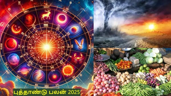 புத்தாண்டு பலன் 2025: இயற்கை சீற்றம், விலைவாசி உயர்வு.. உலகில் நிகழப்போகும் முக்கிய பிரச்னைகள்?