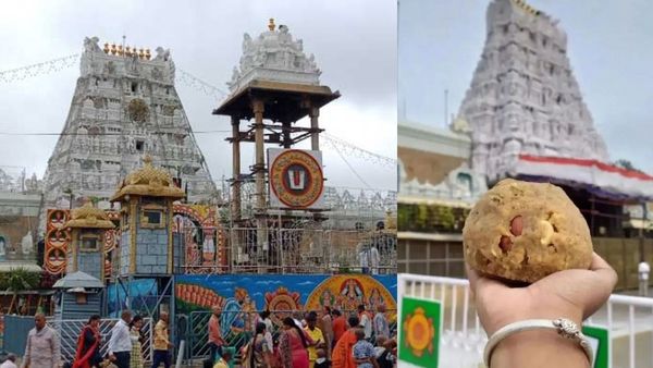 ஒரே ஒரு லட்டு.. கொட்டோ கொட்டுனு கொட்டுது துட்டு! நவம்பரில் மட்டும் 111 கோடியை அள்ளிய ஏழுமலையான்!