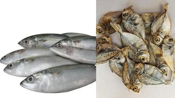 நீண்ட தலைமுடி வளர்ச்சிக்கு தொண்டான் மீன்கள்.. புதுஸ்ஸா இருக்கே? சத்துக்கள் நிறைந்த தொண்டான் கருவாடு