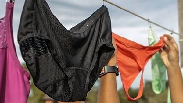 திருநெல்வேலி அருகே பெண்களின் உள்ளாடைகளை எடுத்து சென்ற மன நலம் பாதிக்கப்பட்டவரால் பரபரப்பு