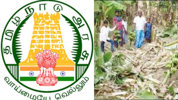 செட்டில்மென்ட் பணியிடங்கள் நிரப்ப வனத்துறைக்கு அனுமதி.. தமிழக அரசு அரசாணை.. பலே நில அளவீடு பணிகள்