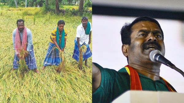 மொத்தமா போச்சு.. காவிரி டெல்டா விவசாயிகளுக்காக சீமான் வைத்த முக்கிய கோரிக்கை
