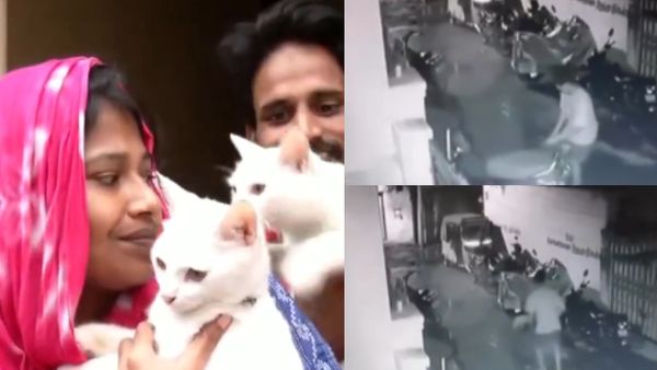 சென்னை மக்களே கவனம்.. நள்ளிரவில் பூனையை கடத்தும் கும்பல்! ஏன் தெரியுமா? பின்னணியில் அதிர்ச்சி