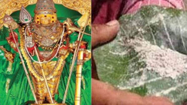 திருச்செந்தூரின் பன்னீர் இலை விபூதி.. விசேஷ பிரசாதம்! செய்வினை விரட்டும் மாமருந்து அதிசய பன்னீர் இலை