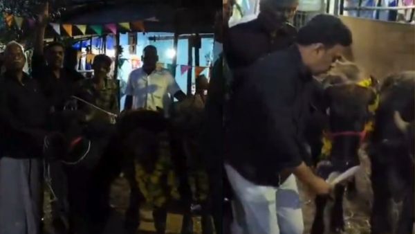 மாட்டுப் பொங்கல் பசுவுக்கு மட்டும் தானா? எருமை மாடு என்ன செய்தது! அரியலூரில் திகவின் மாஸ் சம்பவம்!