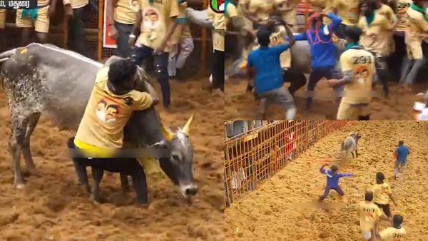 தனது காளையை பிடித்த இளைஞர்களை.. மூக்கணாங்கயிற்றால் தாக்கிய ஓனர்! அவனியாபுரம் ஜல்லிக்கட்டில் பரபர