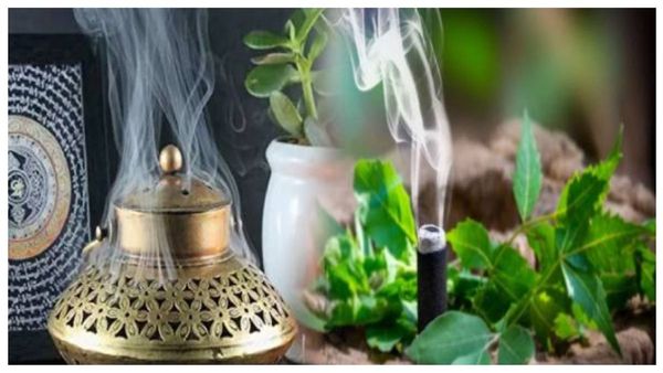 மூலிகை சாம்பிராணி.. வீடெல்லாம் மகிழ்ச்சியும், மணமும் பரவும்.. தெய்வீக தூபம் தரும் அற்புத ஆன்மீக பலன்