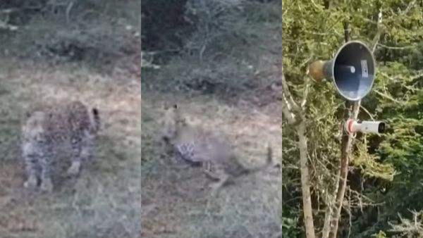 வேலூருக்குள் தோன்றிய 