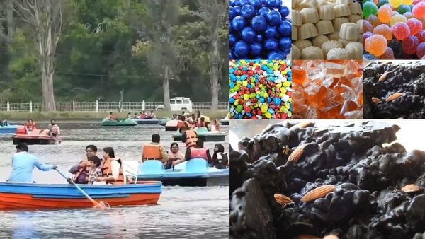 உறைய வைக்கும் பனி..கொடைக்கானல் போக இதுதான் கரெக்ட் டைம்! 100 வகை ஹோம்மேட் சாக்லேட்கள்! எச்சில் ஊறுதே