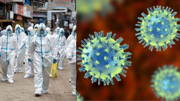 பேண்டமிக் அல்ல.. எண்டமிக்! 2001ல் தோன்றிய HMPV வைரஸ்.. மீண்டும் தலையெடுத்தது எப்படி? பின்னணி