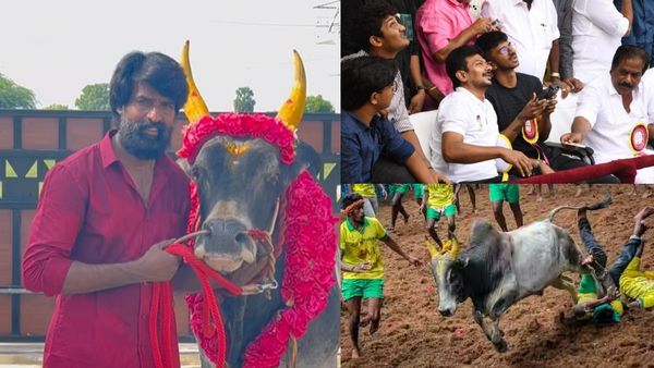 வாடிவாசலில் நடிகர் சூரியை தேடிய உதயநிதி.. மதுரை அலங்காநல்லூரில் கருப்பனை அவிழ்த்துவிட்டதுமே 