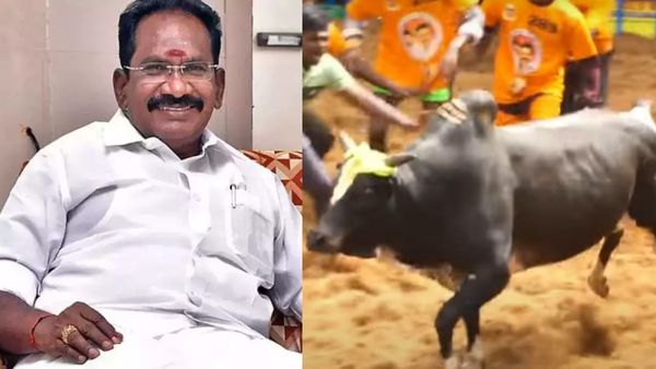 ஒரே சுத்துதான்! திமிலை பிடித்த வீரரை தூக்கி எறிந்துவிட்டு பறந்த முன்னாள் அமைச்சர் செல்லூர் ராஜு காளை