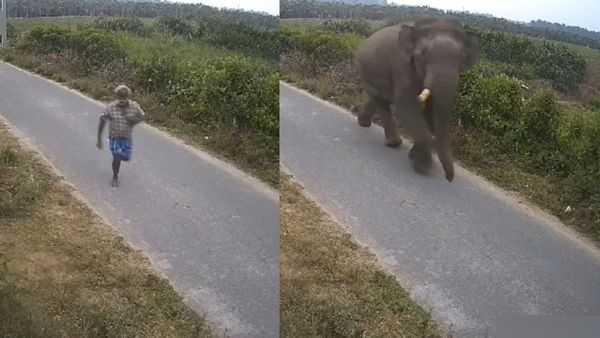 சிசிடிவி இருக்குனு கூட பார்க்கலையே..எடுத்தேன் பாரு ஓட்டம்! விரட்டிய ஒற்றைக் கொம்பன்.. பரபர வீடியோ!