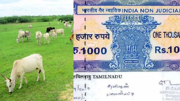 கிராம நத்தத்தில் பயனுள்ள நிலம்.. மேய்க்கால் புறம்போக்கு.. மேய்ச்சல் நிலத்துக்கு பட்டா கிடைக்குமா? செம